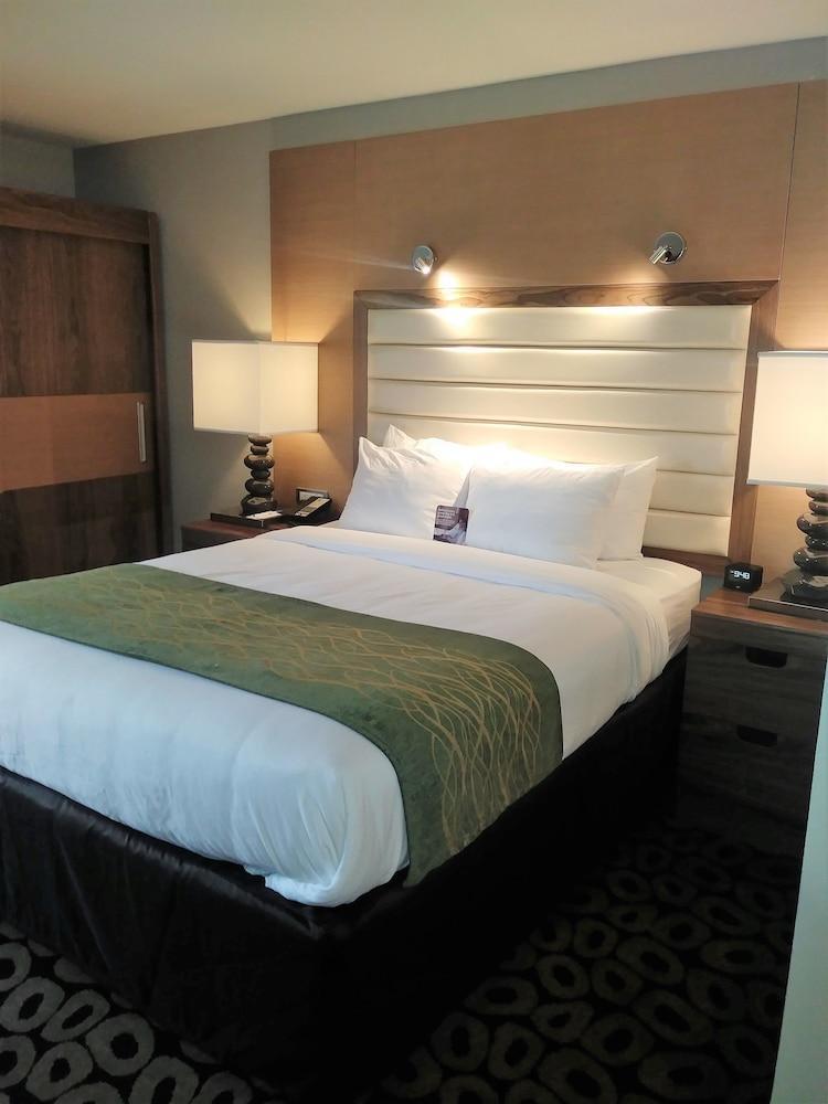 Comfort Inn Raleigh Midtown Екстер'єр фото
